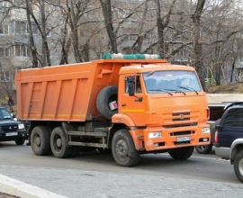 Северянка предложила привлекать курильщиков и собачников к субботникам