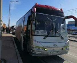 На Камчатке после скандала снизили стоимость наличного проезда в автобусе №104к