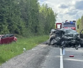 Двое детей и двое взрослых погибли при лобовом ДТП в Ленобласти