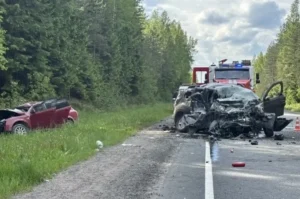 Двое детей и двое взрослых погибли при лобовом ДТП в Ленобласти